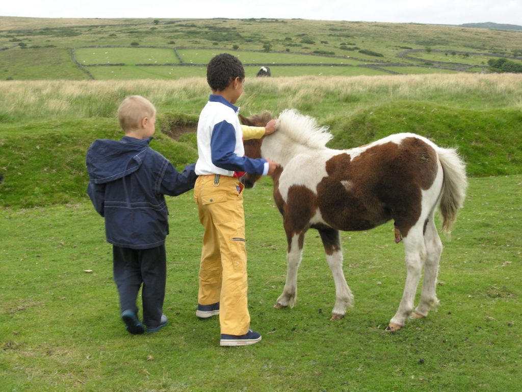 Devon 2005 foto 122 pony and child