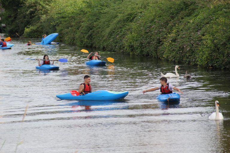 Kayakers with swans